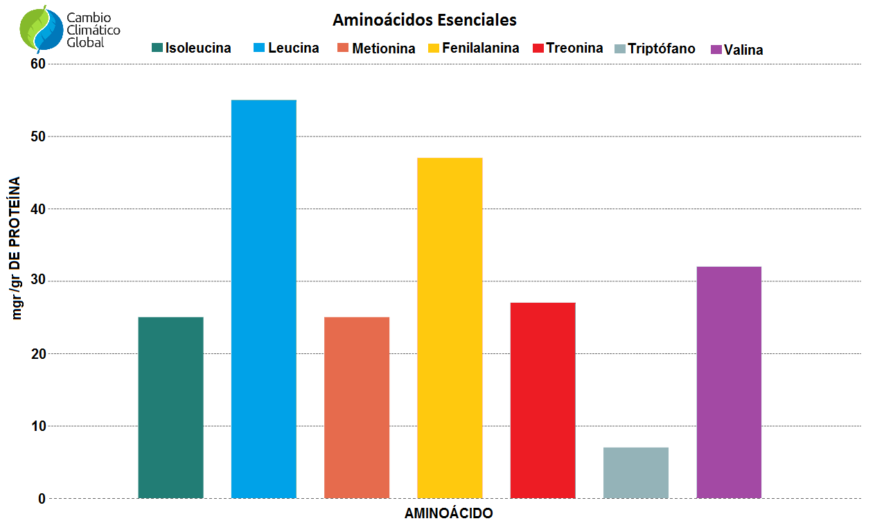 Aminoácidos esenciales en las proteinas