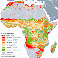 Producción agrícola en Africa y el cambio climático