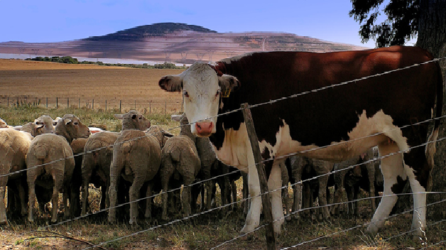 El ganado y el calentamiento global